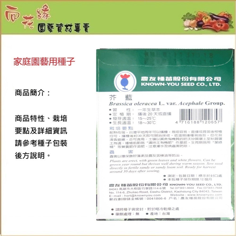 NongYou Chinese Kale &ndash; Vegetable Seeds, , large