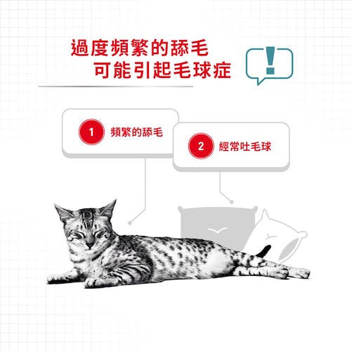 Royal Canin, , large