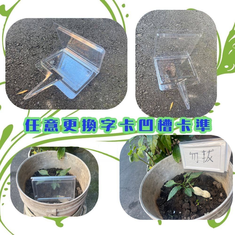 GS MALL 台灣製造 插地透明標示牌 插土立牌 園藝 植物標籤 指示牌 標示插牌 展示牌, , large
