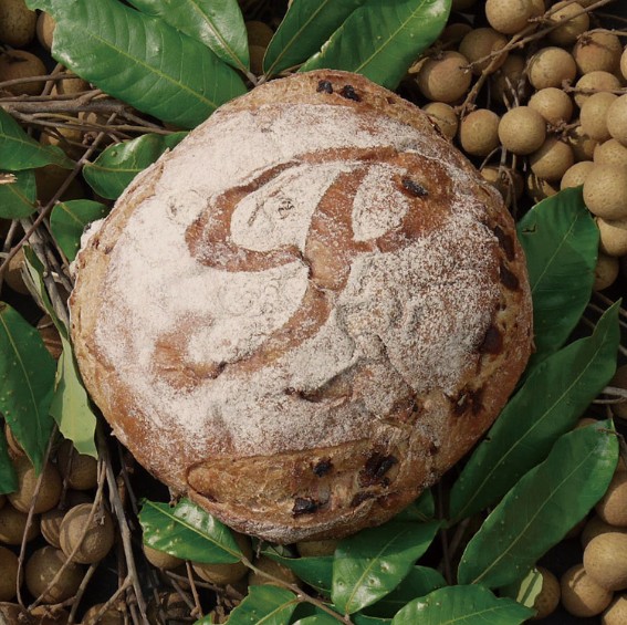 PASADENA Dried Longan and Walnut Bread