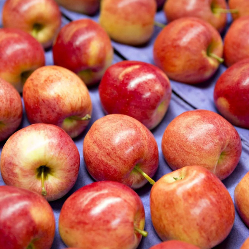 預購免運★7個工作日內出貨【一起買】紐西蘭Organic Gala 有機蘋果, , large