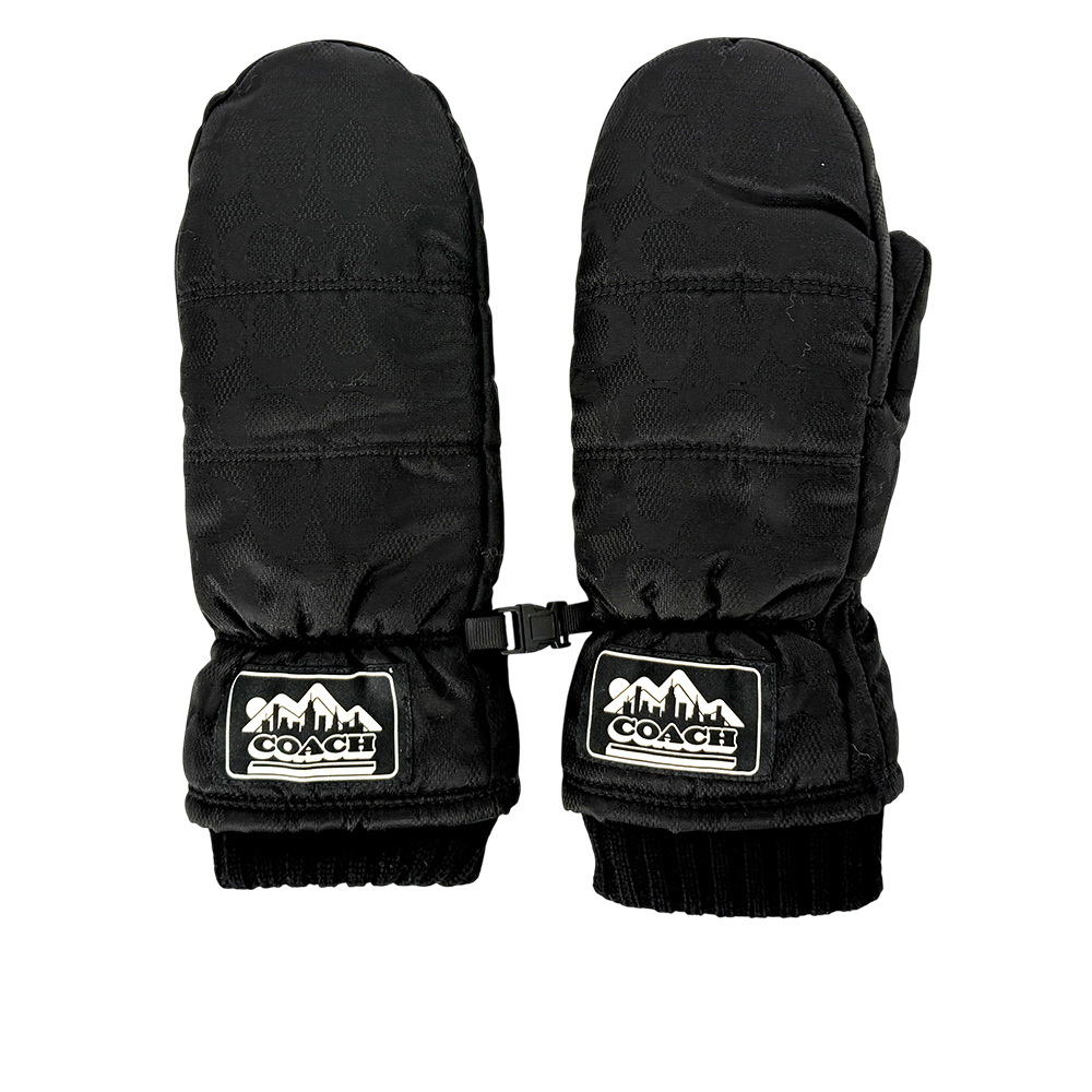  Gloves