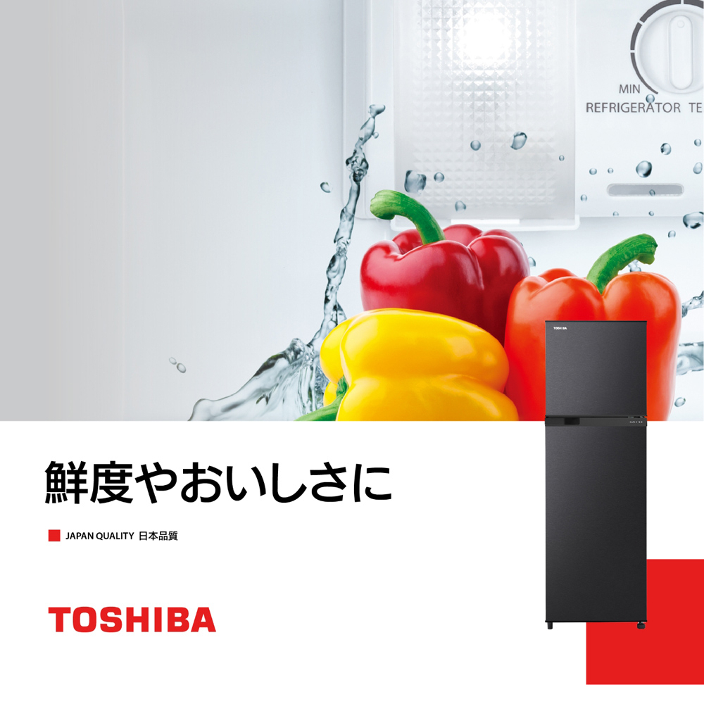 TOSHIBA 262L Inverter Double Door Refrigerator – Galaxy Gray GR-B31TP(SK), , large