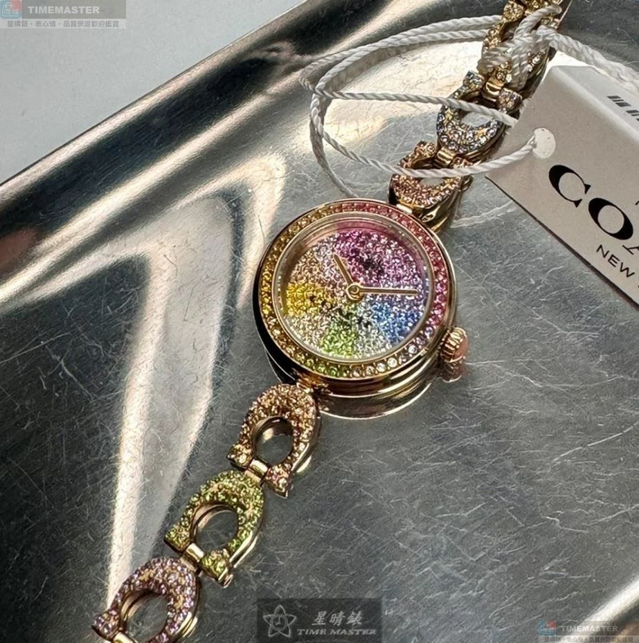 [TIMEMASTER] COACH watch, 24mm, CH00186, , large