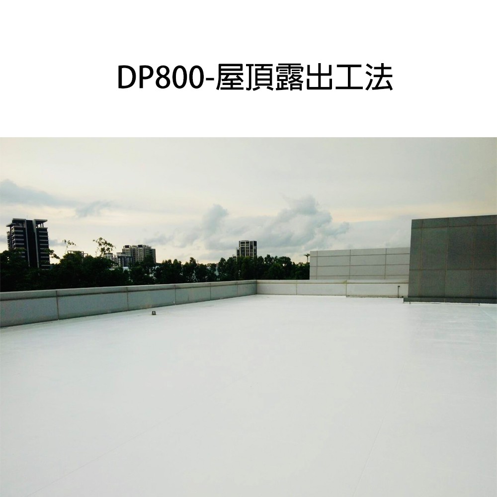 DP800 20kg 灰色, , large