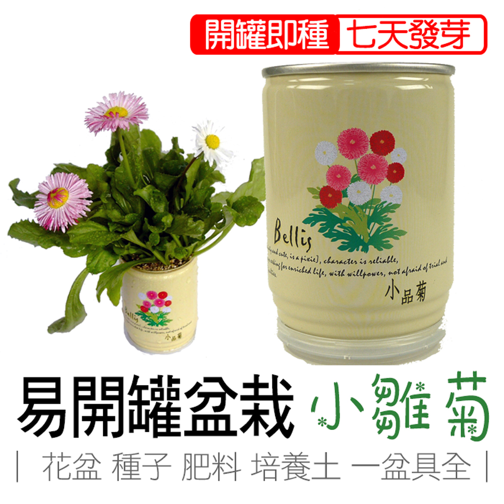 【心安購物】iPlant易開罐盆栽-小雛菊, , large