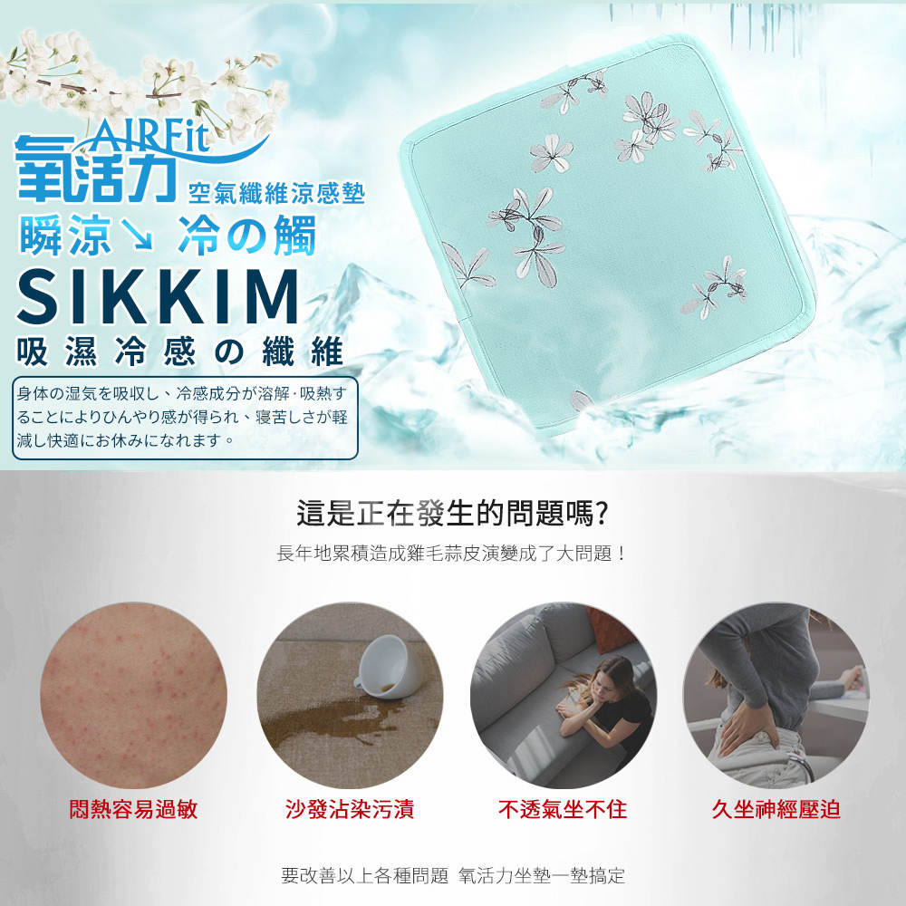 【日本旭川】送兩片 日本技術 AIRFIT 瞬涼透氣涼感坐墊-銀韻款 空氣纖維 辦公室坐墊 透氣坐墊 屁痘 減壓支撐, , large