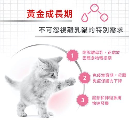 Royal Canin, , large