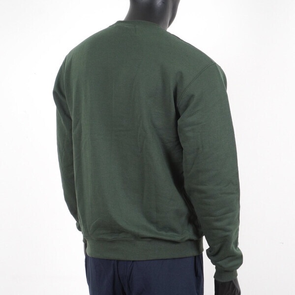 Champion 男 長袖上衣 大學T 美規 高磅數 運動 休閒 內刷毛 保暖 舒適 穿搭 深綠 [S600-33C], , large