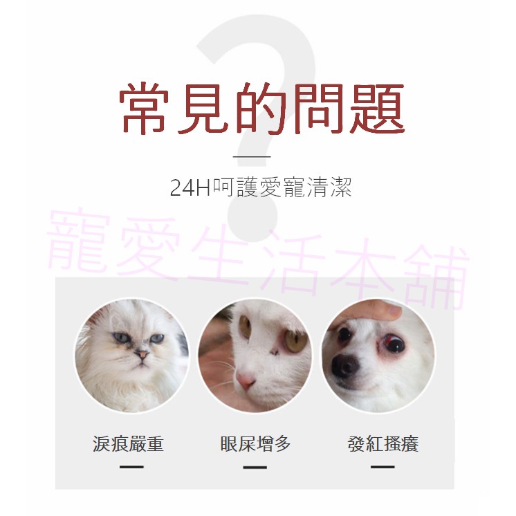 【寵愛生活本舖】kojima寵物去淚痕專用濕紙巾120片 犬貓可用, , large