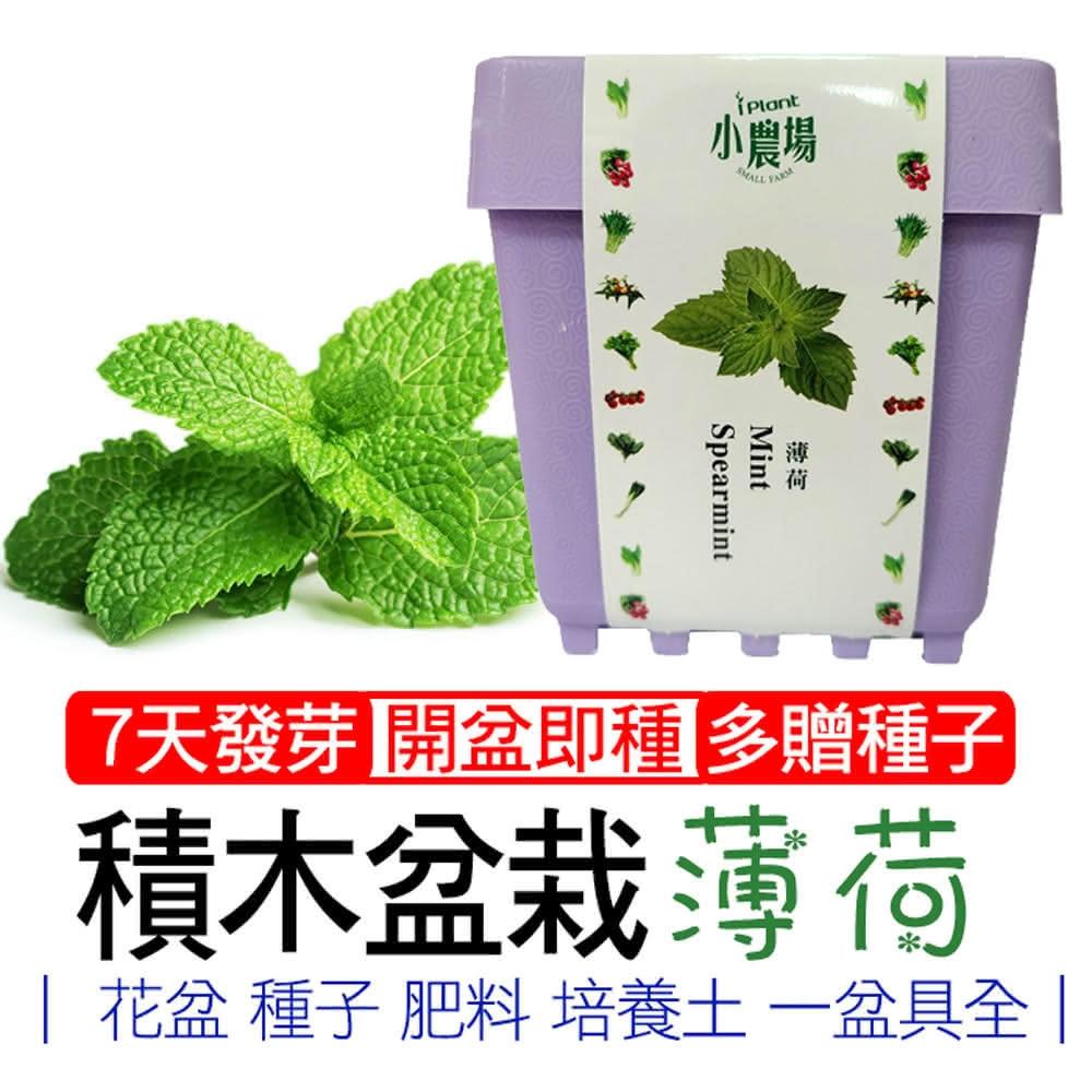 【心安購物】iPlant積木盆栽-薄荷, , large