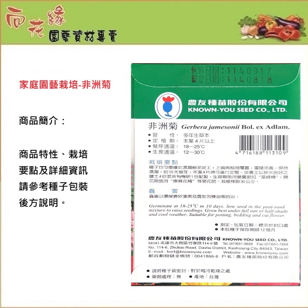 NongYou Gerbera Flower Seeds, , large