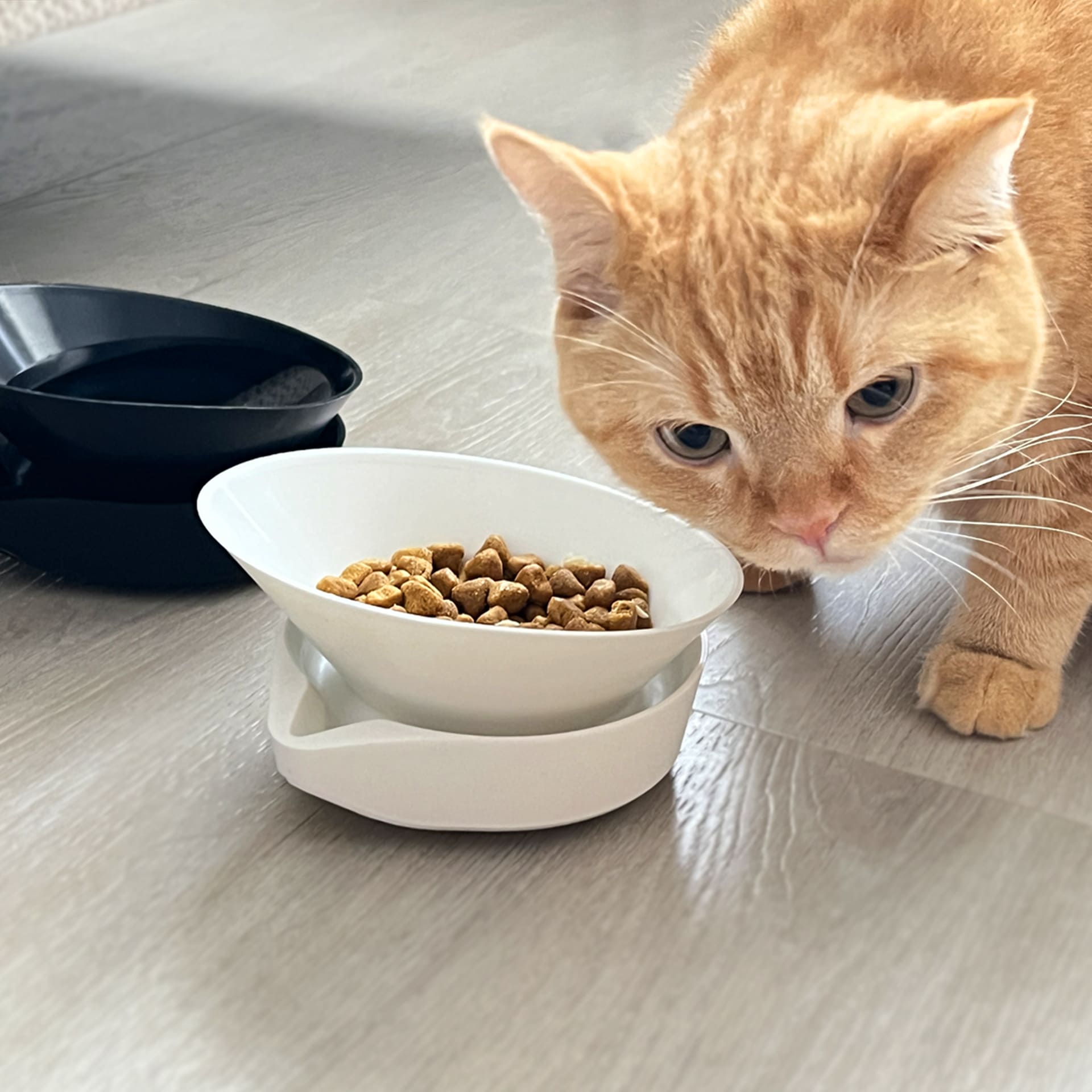 [HhL] MASTER BOWL-Ant-Proof Pet Bowl / Two Bowl (W+W), , large