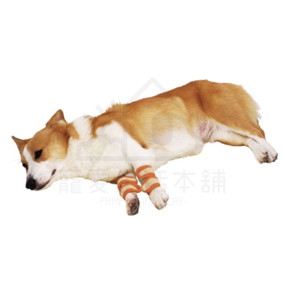 【寵愛生活本舖】PETIO寵物關節輔助支撐帶（中號）四入 派地奧, , large