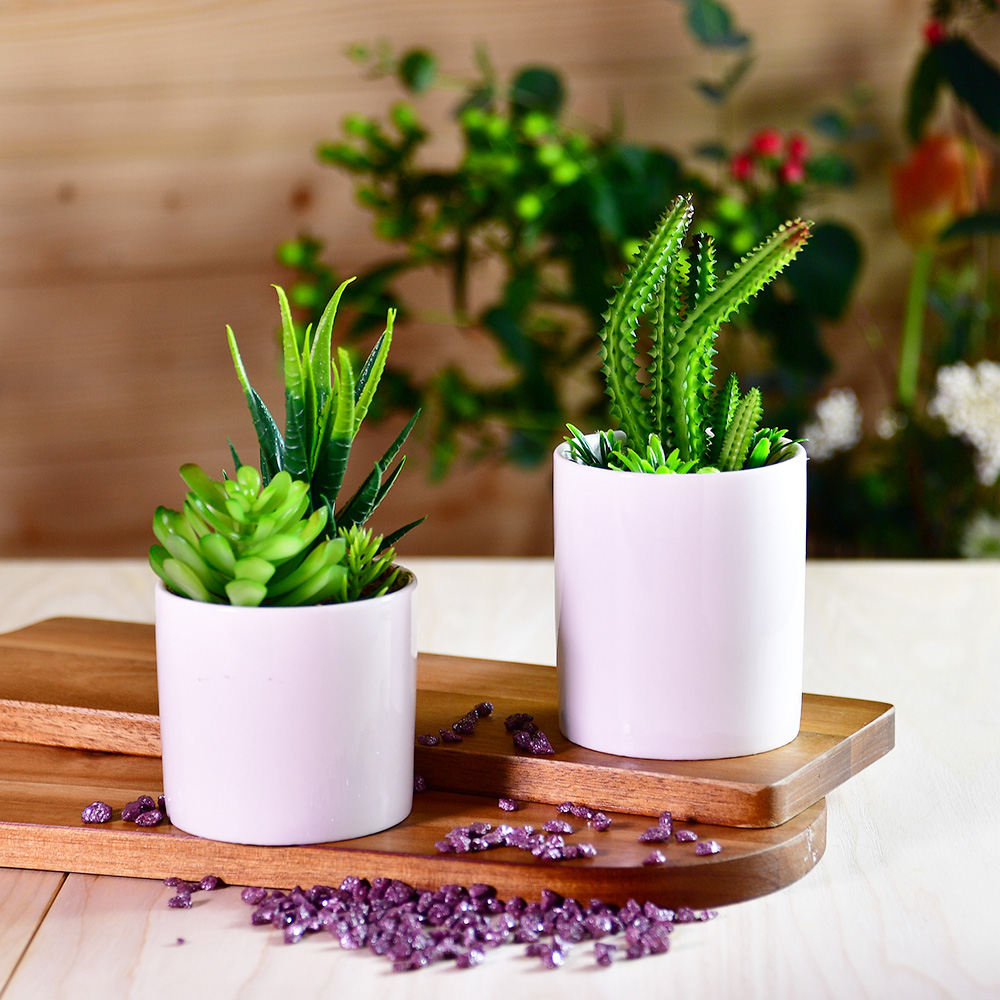 【YU Living】 迷你仿真多肉盆栽 人造盆栽, , large