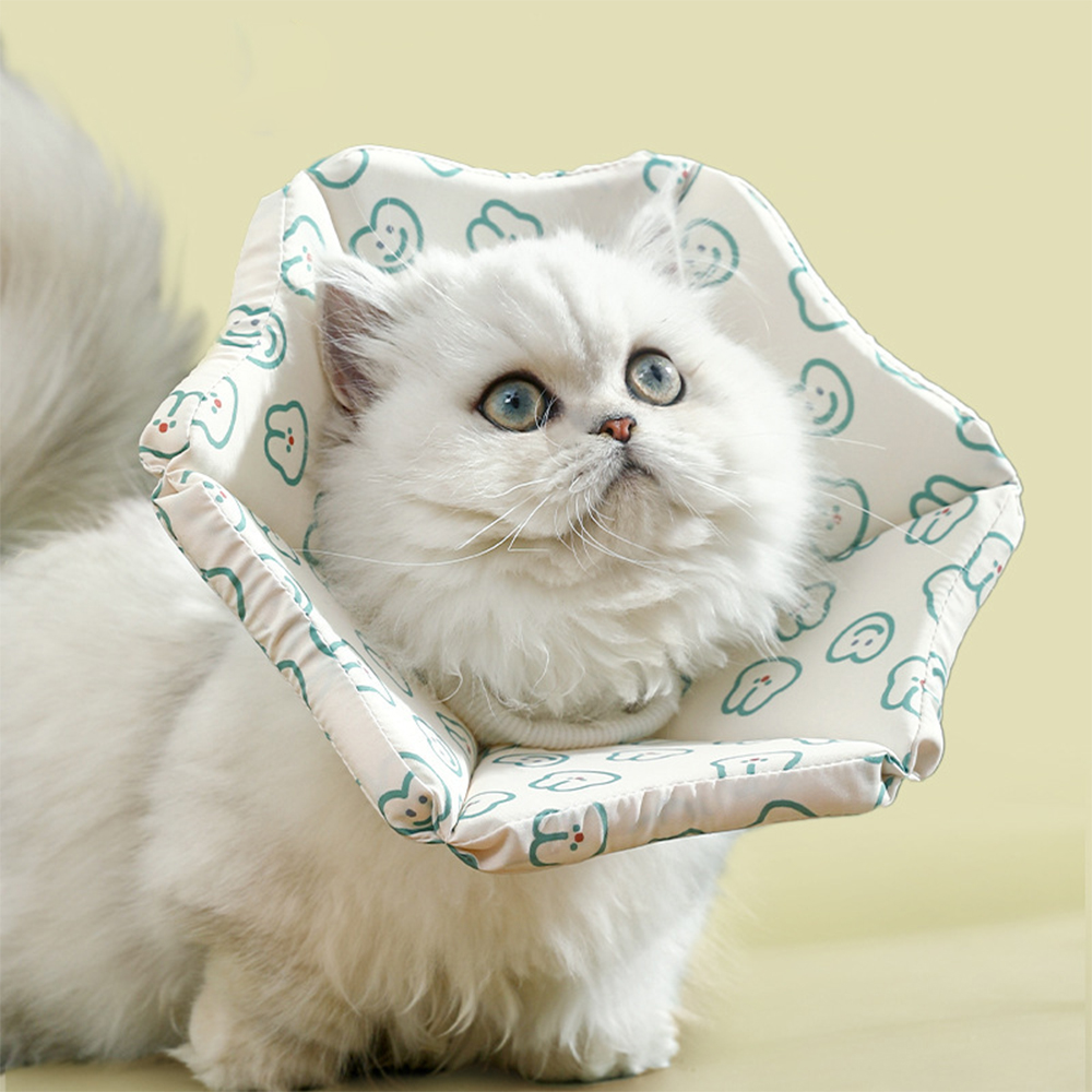 soft collar, , large