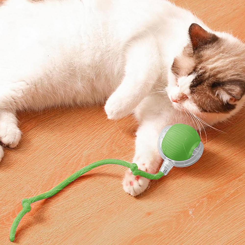 automatic-cat-teasing-ball, , large