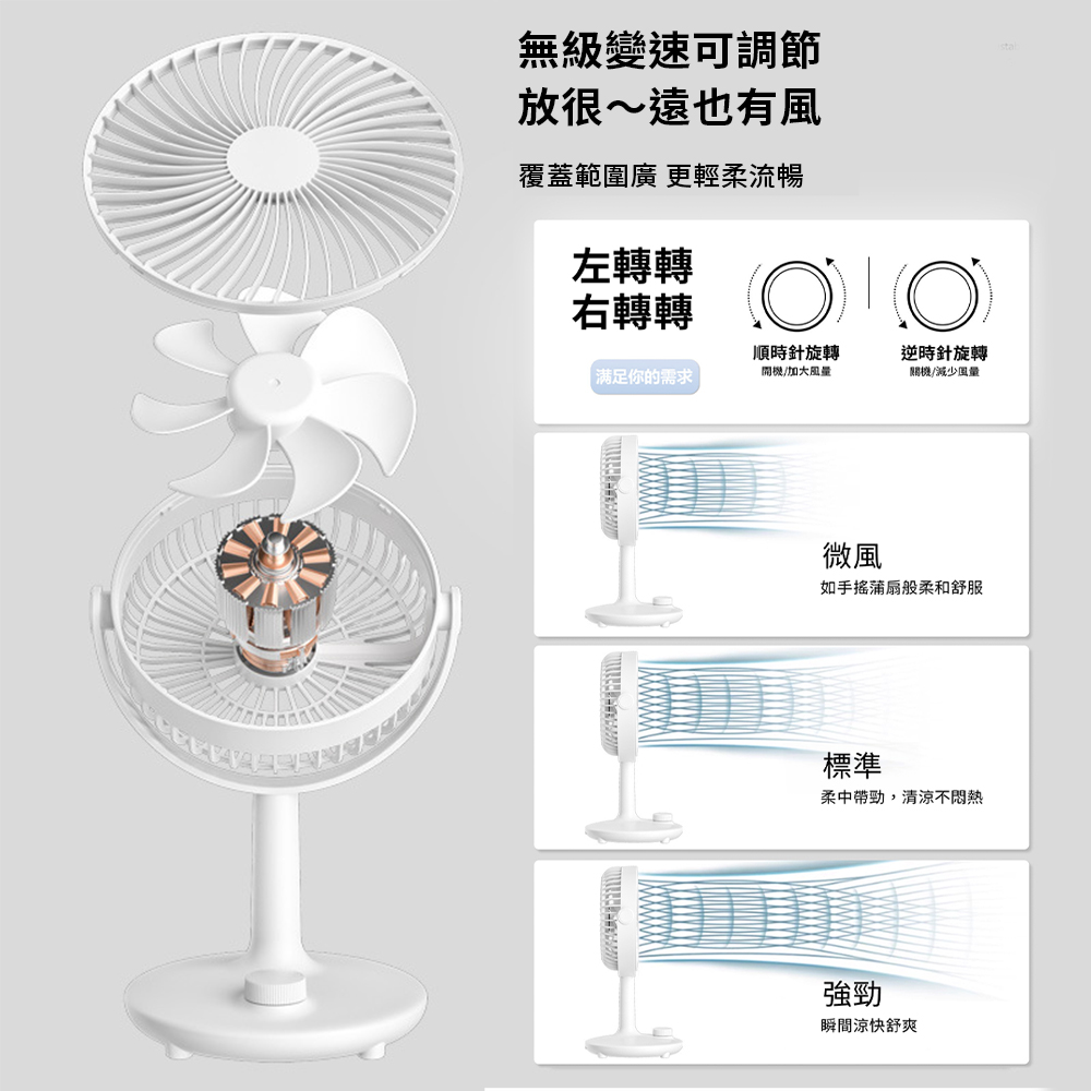 fan, , large