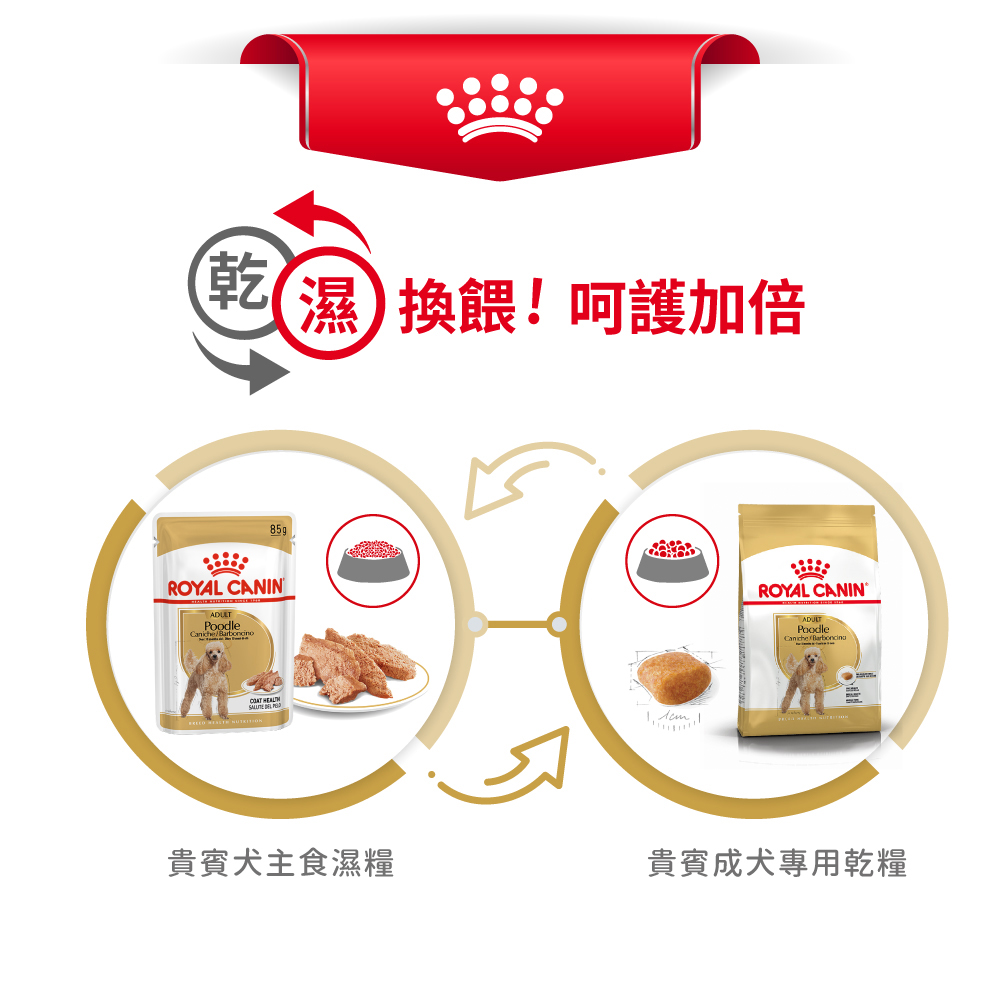 【Royal Canin法國皇家】貴賓成犬PDA, , large
