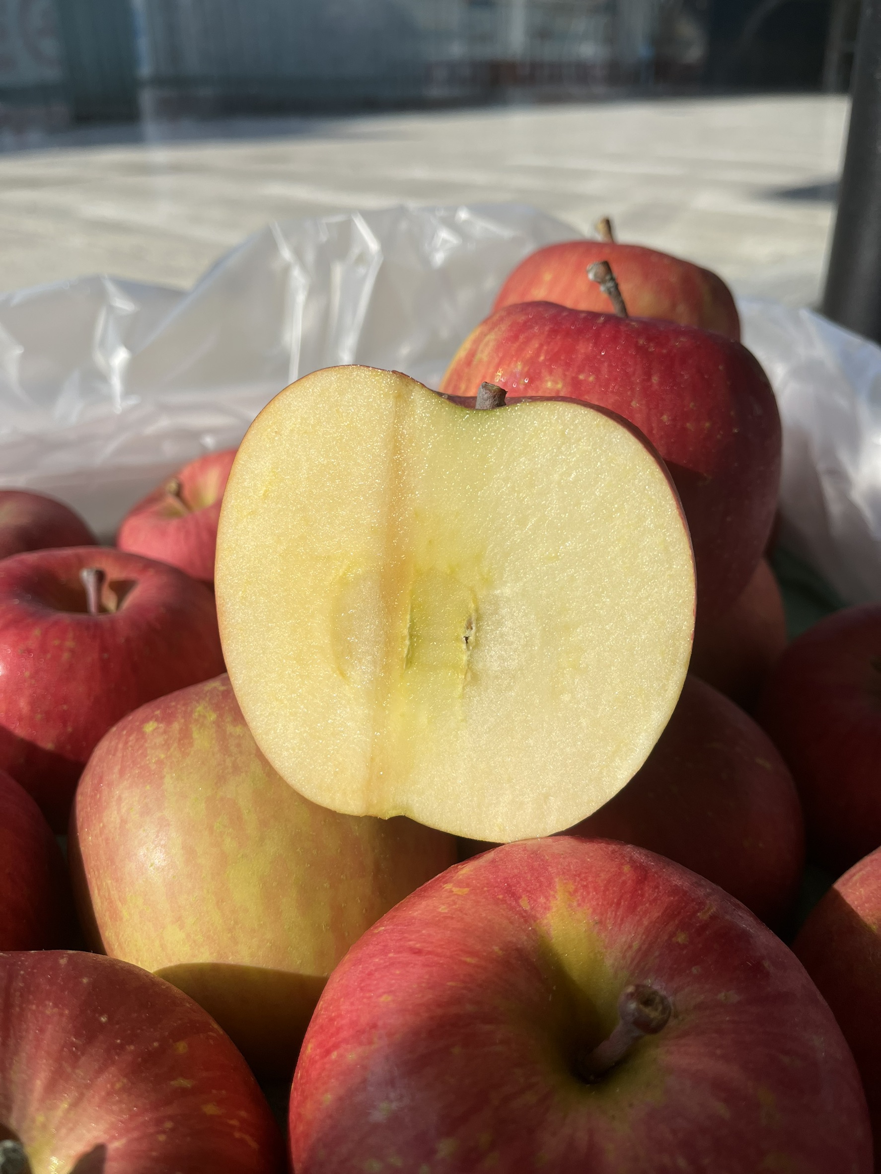 Aomori Honey Fuji Apple, , large