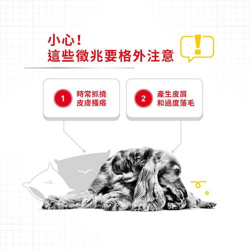 Royal Canin, , large
