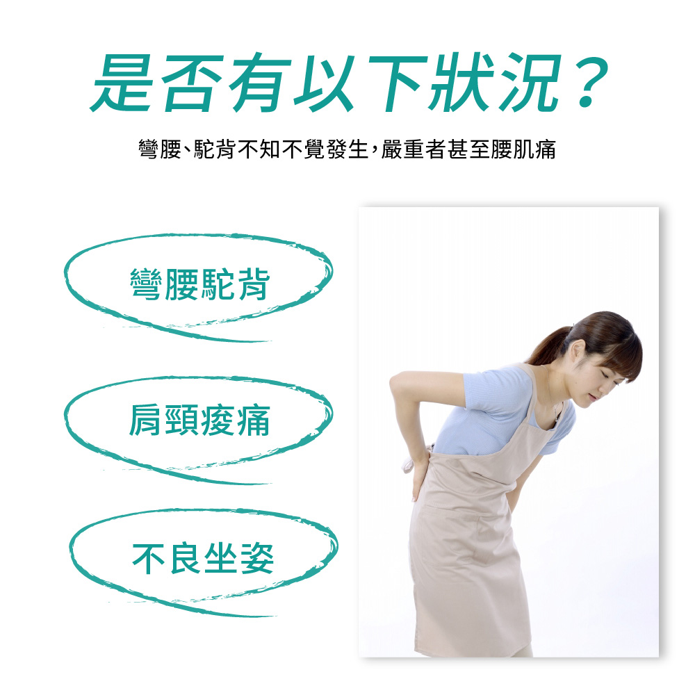 日本製【CERVIN】美背調節日常護理帶 (男女適用), , large