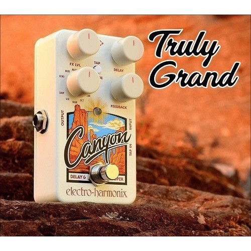 Electro Harmonix Canyon 效果器【敦煌樂器】, , large