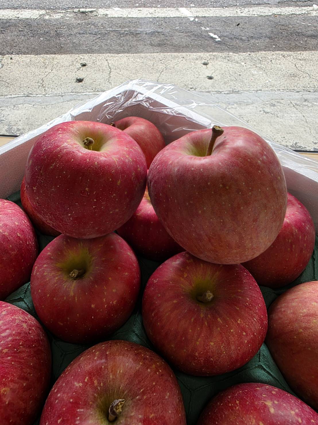 Aomori Honey Fuji Apple, , large