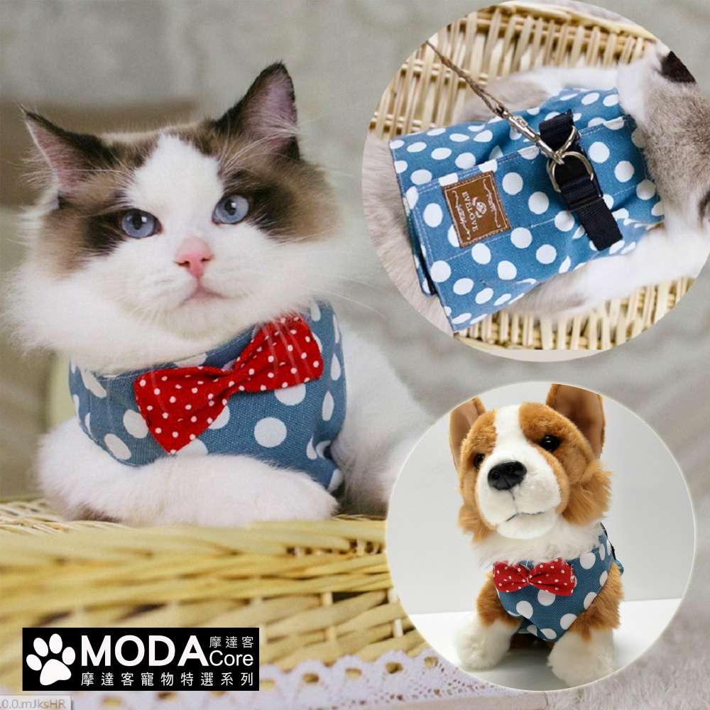 【摩達客寵物系列】貓咪藍白圓點背心領結胸背帶 牽繩貓繩遛貓, , large