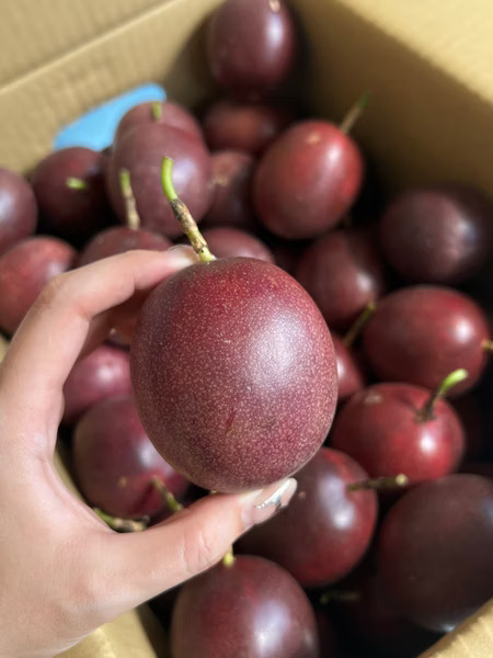 Passion Fruit, , large