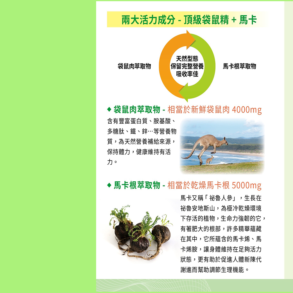【澳洲奧倍美 Belrose 即期品】頂級袋鼠精+ 馬卡膠囊-2026年5月31日到期(6 入組  30顆/瓶), , large