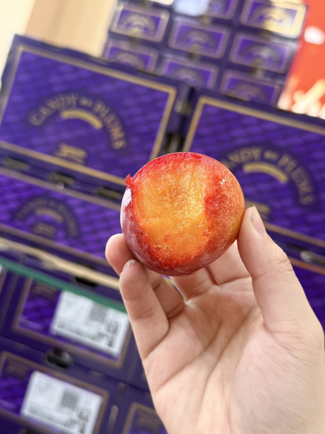 [芯鮮果]智利魔法糖果李, , large