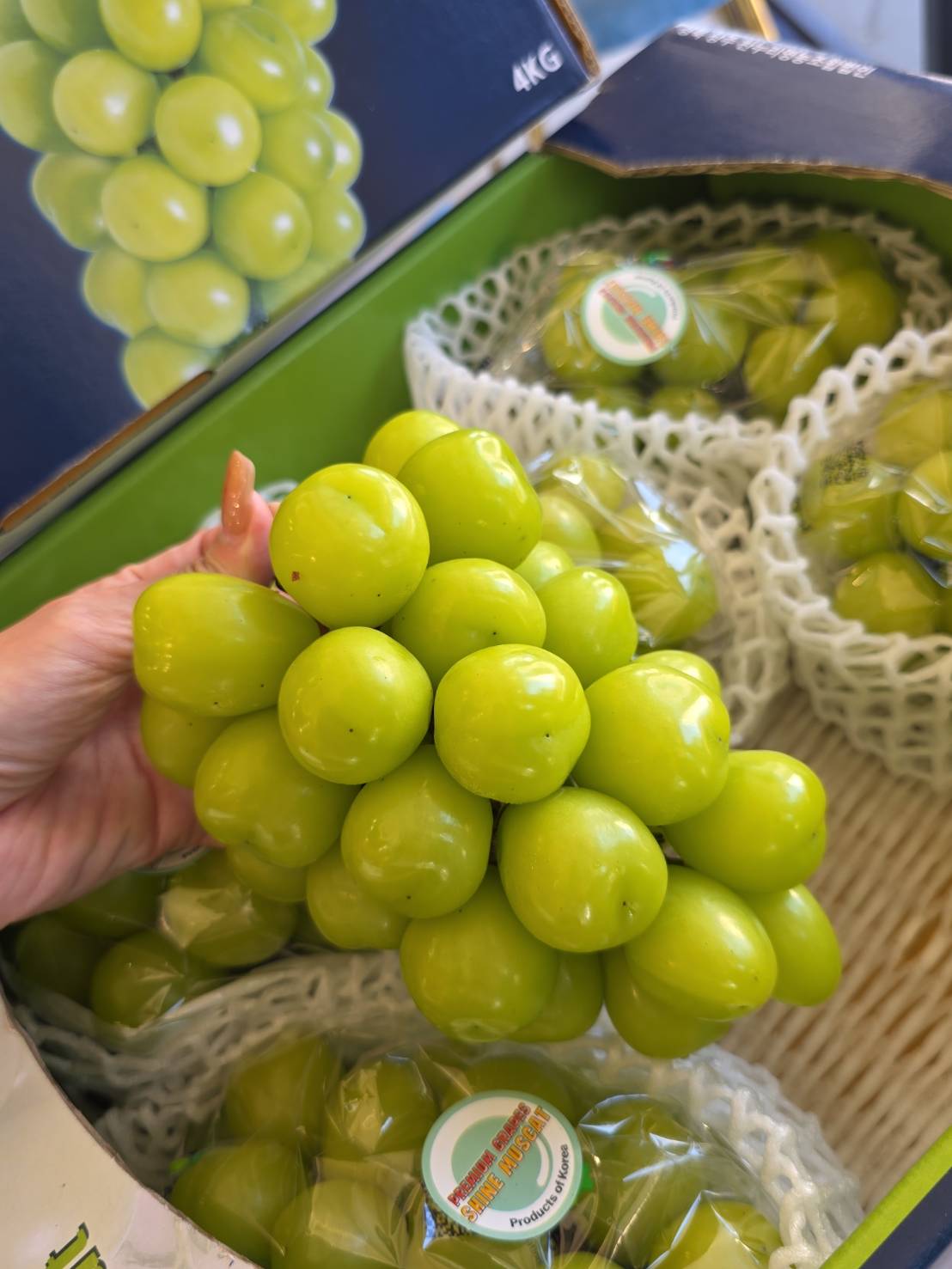 [芯鮮果]韓國( 麝香葡萄 ), , large