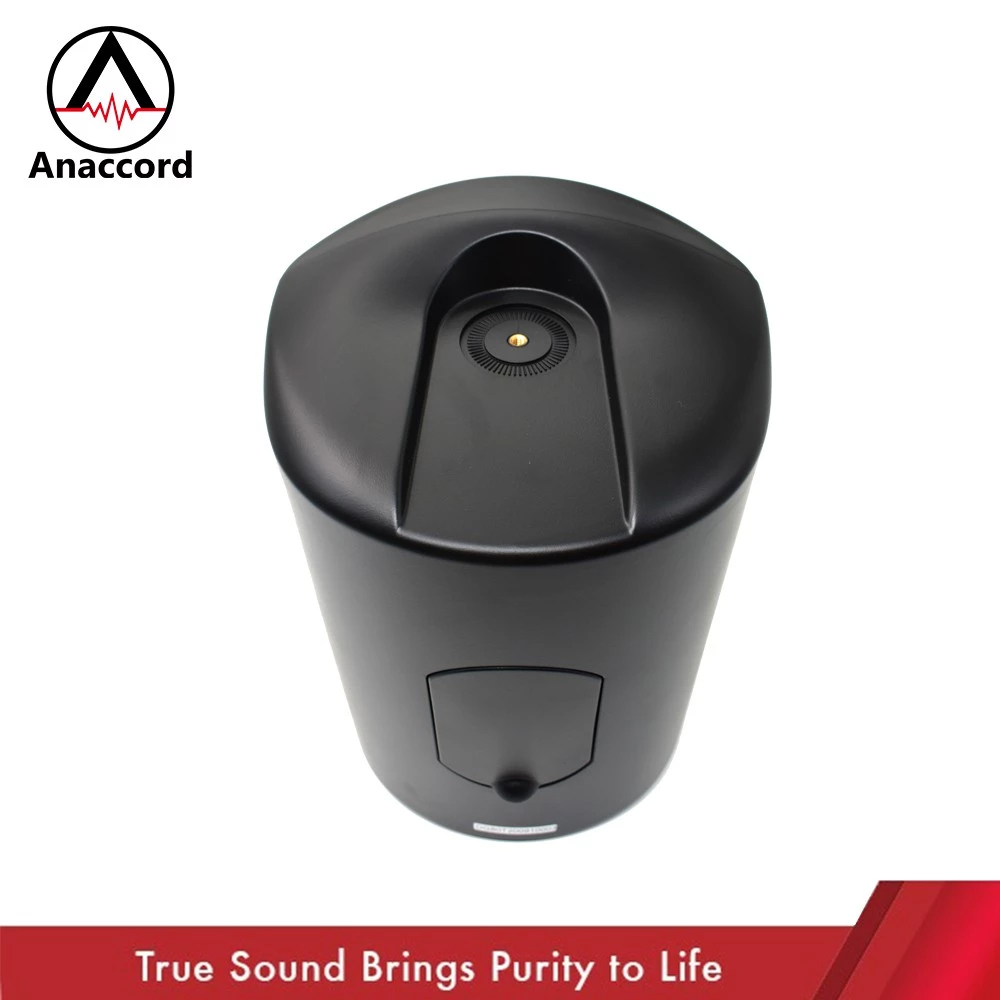 Anaccord 雅那歌音響 DG-80T 黑色 | IPX66全天候防水 | 8吋壁掛重低音揚聲器組 | 戶外劇院/景觀音響推薦｜一對 經典黑 現貨 家樂福線上, , large