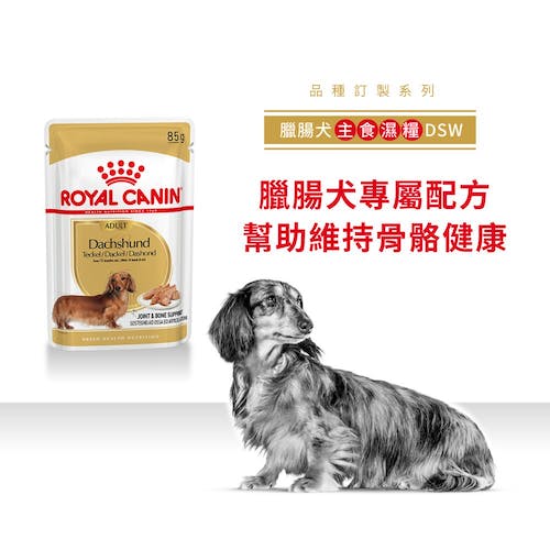 【拉拉寵物小舖】法國皇家 狗主食餐包 DSW 臘腸犬主食濕糧 狗主食濕糧, , large
