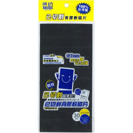 Success成功 21317 已切割背膠軟磁片(2*3)