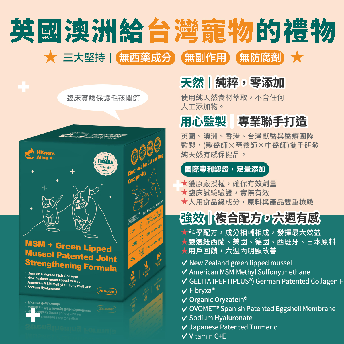 ［營活著］＜全面升級版＞ -【多國專利】護關節 MSM+(綠唇貽貝強化配方）靈活 強化 骨骼肌肉保養, , large