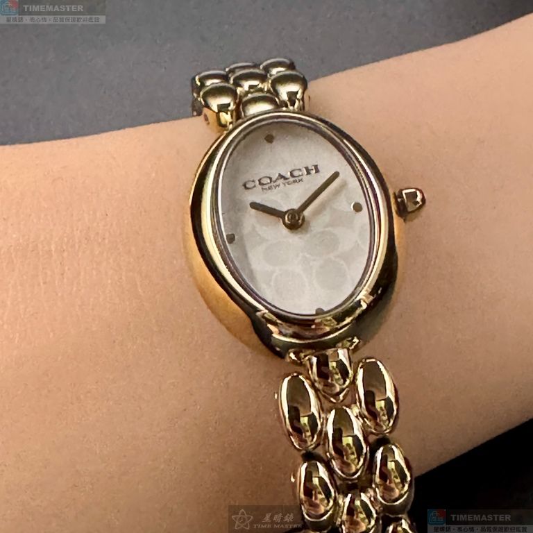 [TIMEMASTER] COACH watch, 22mm28mm, CH00262, , large