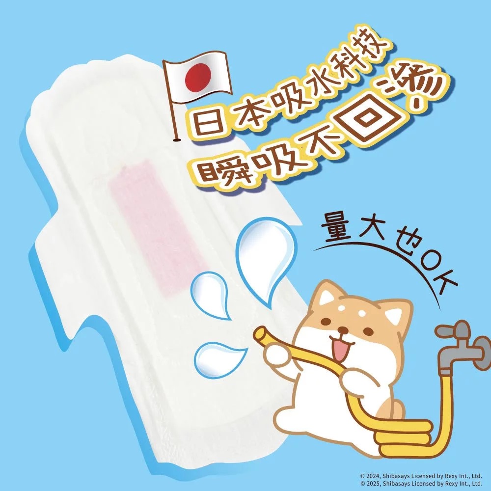 Panty liner, , large