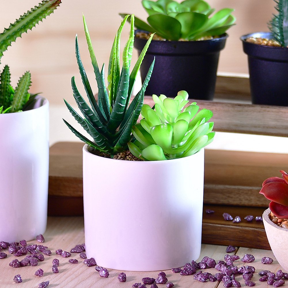 【YU Living】 迷你仿真多肉盆栽 人造盆栽, , large