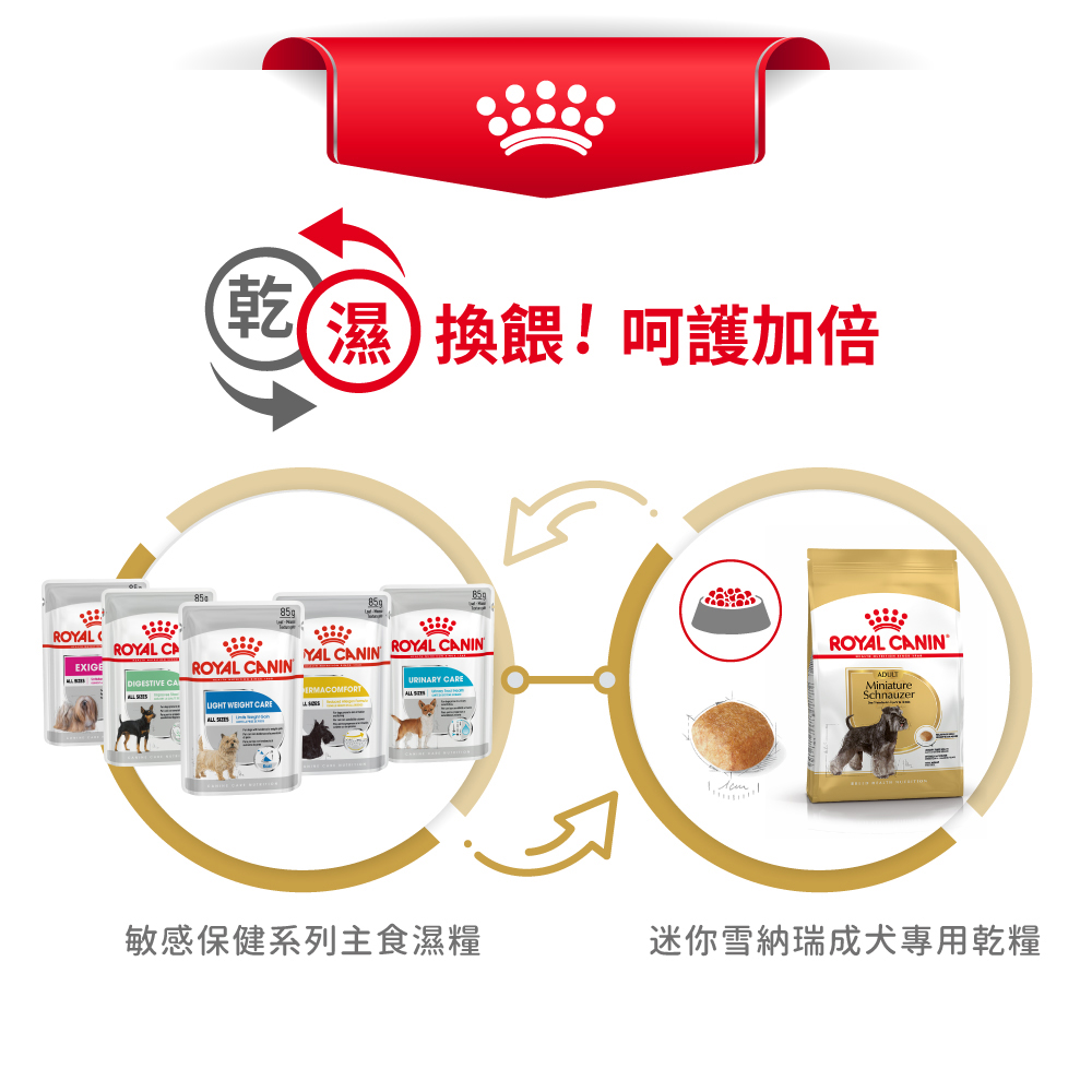 【Royal Canin法國皇家】迷你雪納瑞成犬SNA, , large