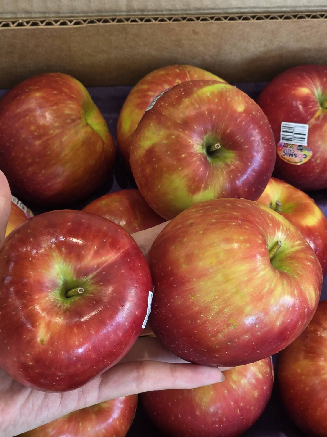 [芯鮮果]紐西蘭( 蜜富士蘋果88A ), , large