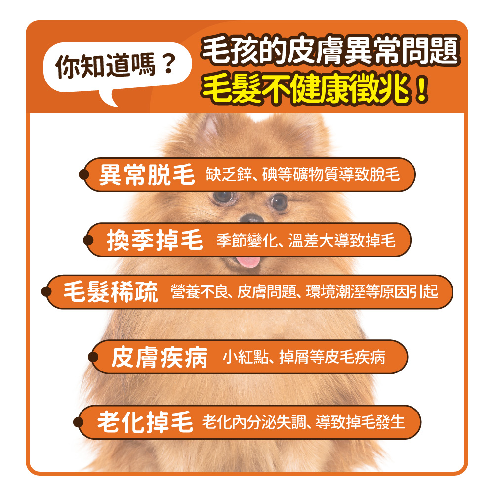 【毛孩時代】爆毛專利保健粉 貓狗保健食品/貓狗爆毛保健/寵物保健(2盒/60入), , large