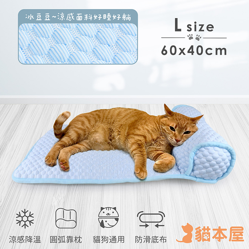 貓本屋 冰豆豆涼感 靠枕寵物睡墊-L號-OO-P-SN07L-B-粉藍