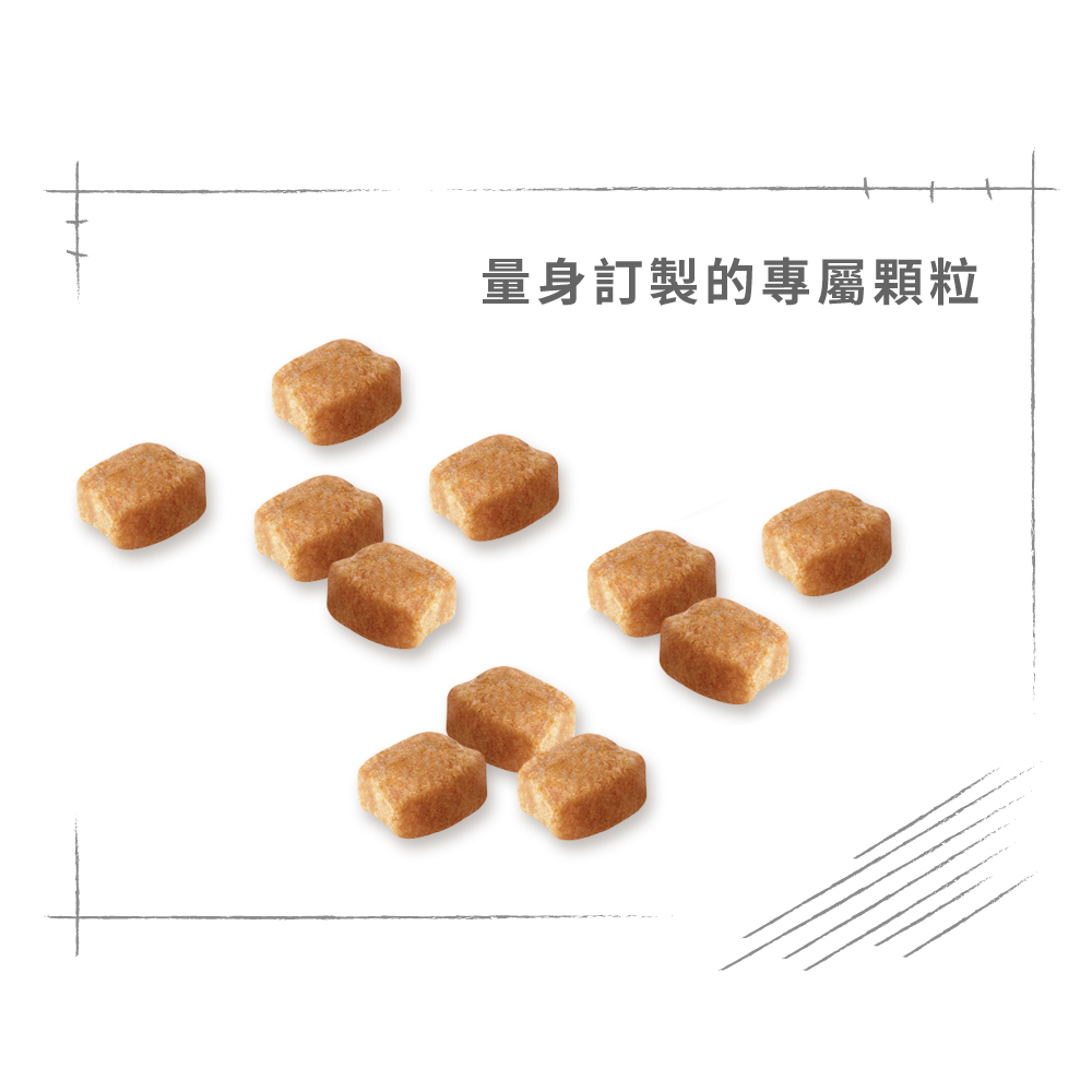 【Royal Canin法國皇家】臘腸幼犬DSP, , large