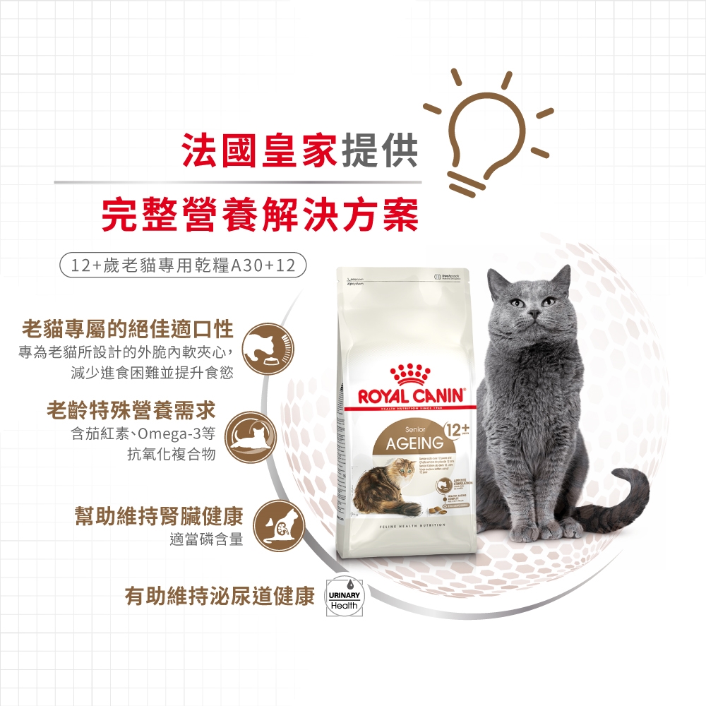 Royal Canin, , large