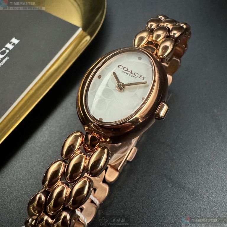 [TIMEMASTER] COACH watch, 22mm28mm, CH00267, , large