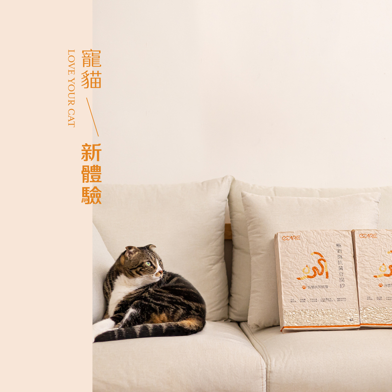 [祺城科技]O-Care【體驗組】極消臭抗菌牡蠣殼豆腐砂(2入), , large