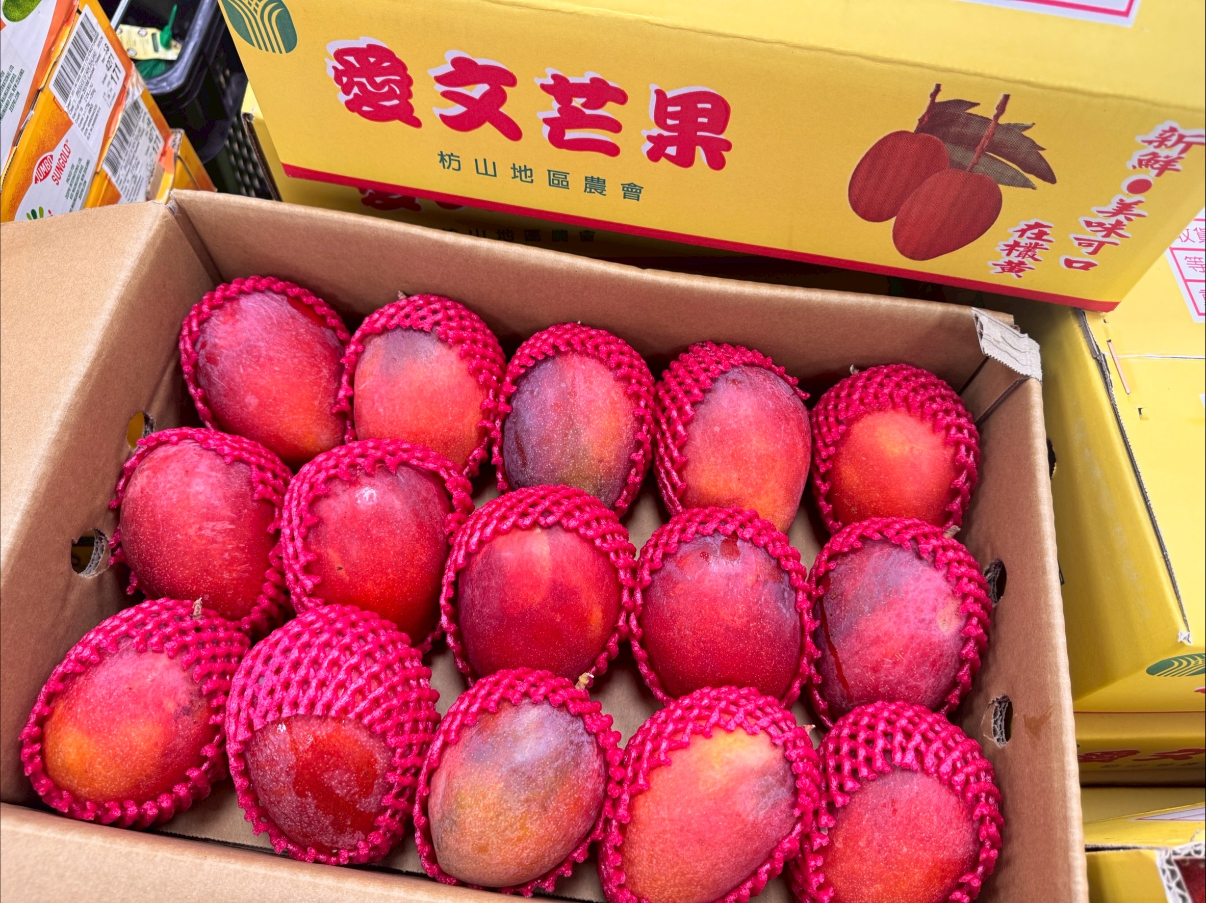 Irwin Mango, , large