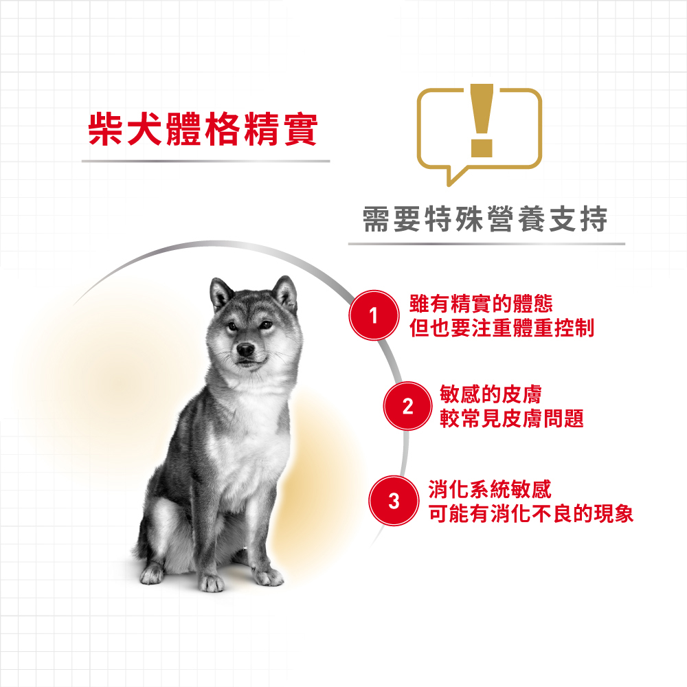 【Royal Canin法國皇家】柴犬成犬S26, , large